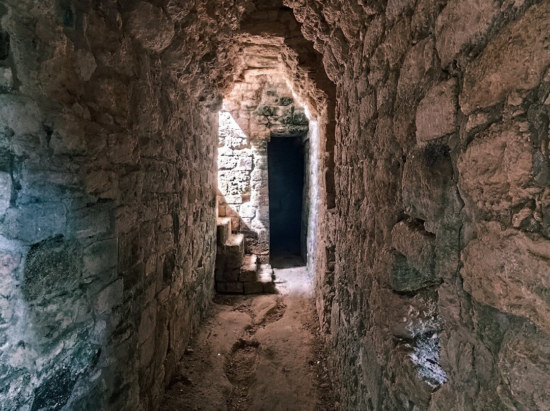 Calakmul Tours By Enrique-Xpujil Town必去景点