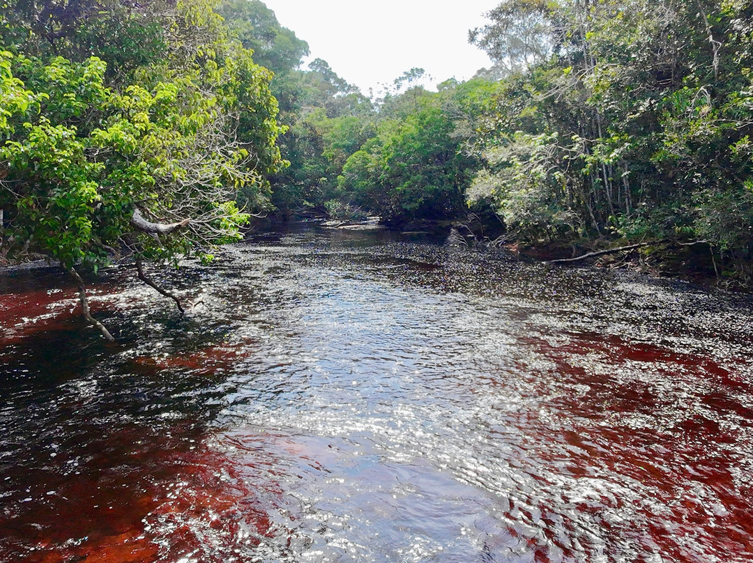 Cachoeira de Iracema-Presidente Figueiredo必去景点