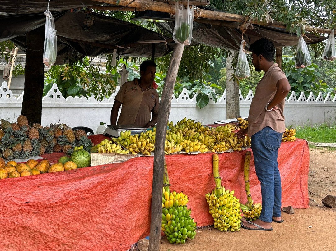 My Driver in Sri Lanka - Day Tours-Yatiyana必去景点