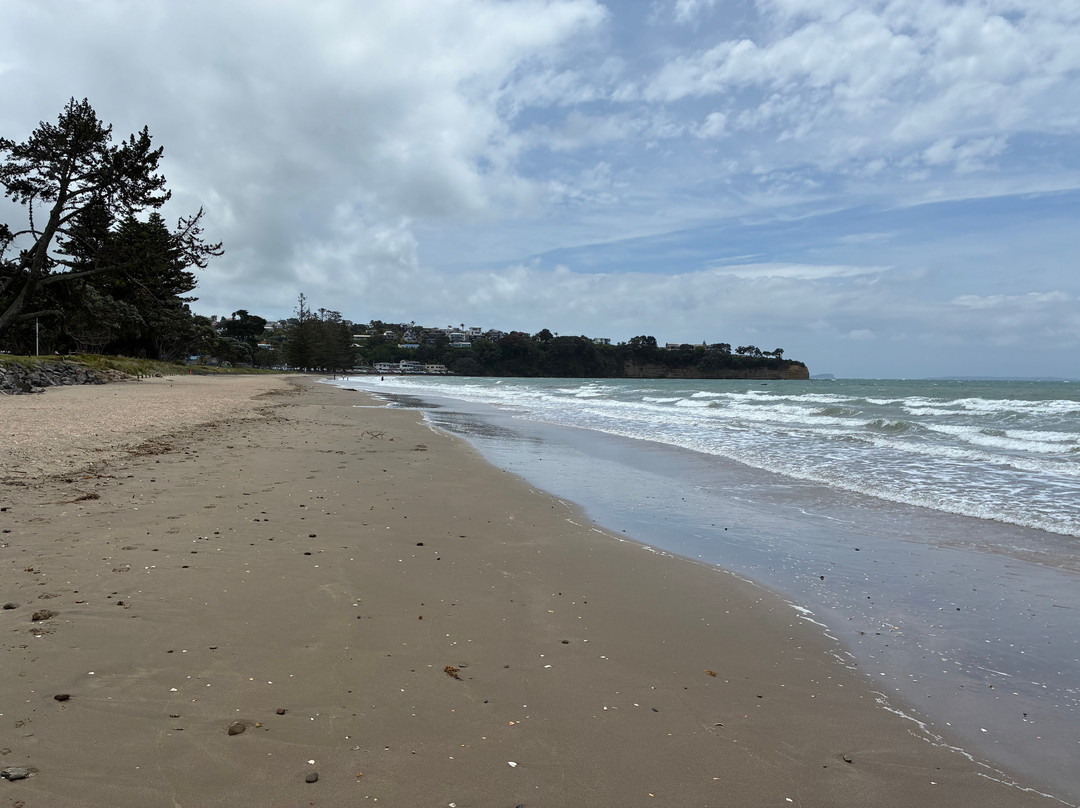 Browns Bay Beach-布朗斯湾必去景点