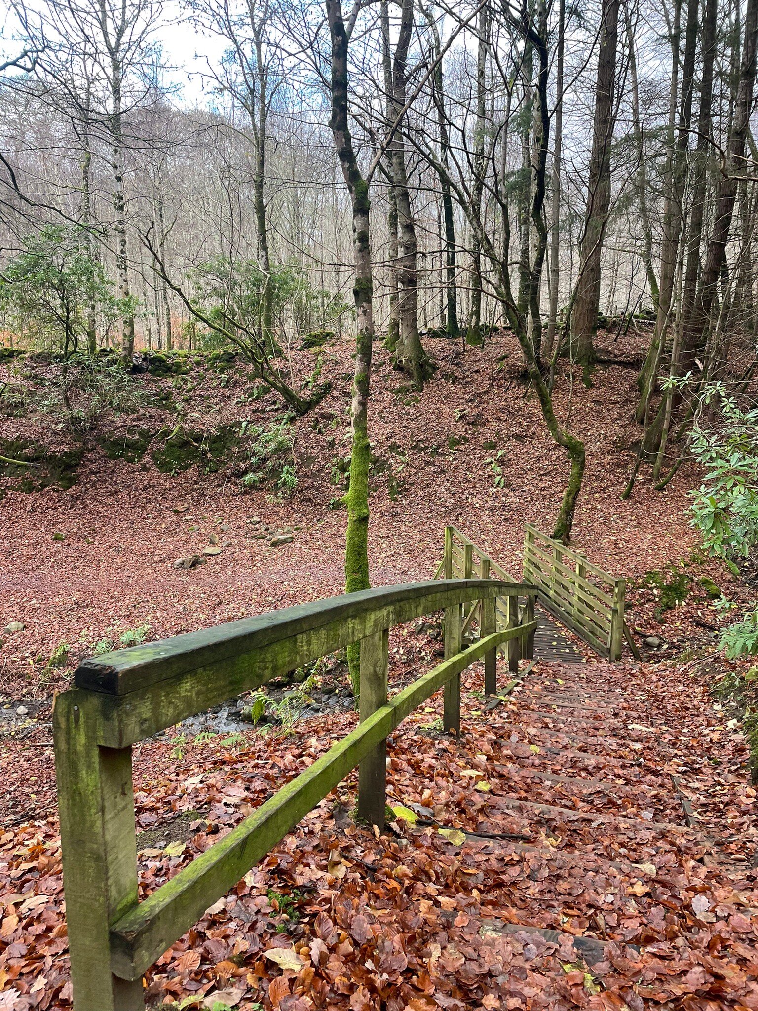 Craigatin House & Courtyard-官方