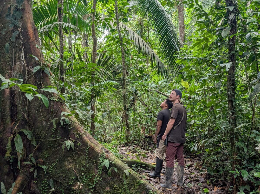 Parque Nacional del Yasuni - Fernando guia en la Amazonia-Coca必去景点