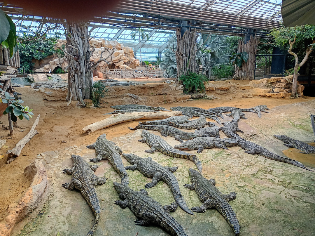 La Ferme Aux Crocodiles-Pierrelatte必去景点