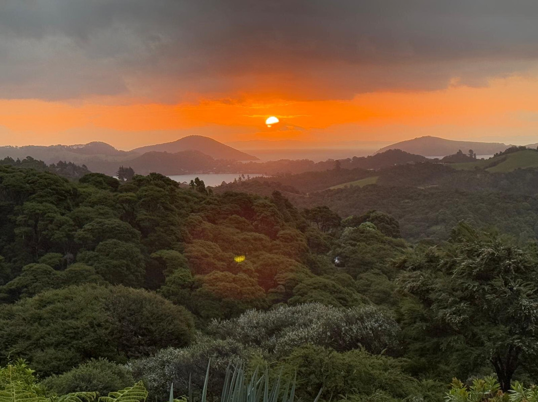 Nature & Nosh Tours-汉密尔顿必去景点