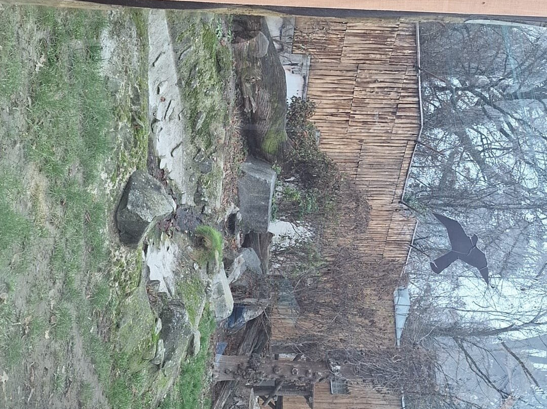 ZOO Bratislava-布拉迪斯拉发必去景点