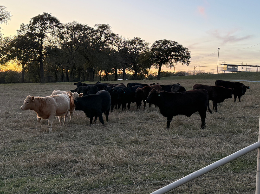 NRS Event Center-Decatur必去景点