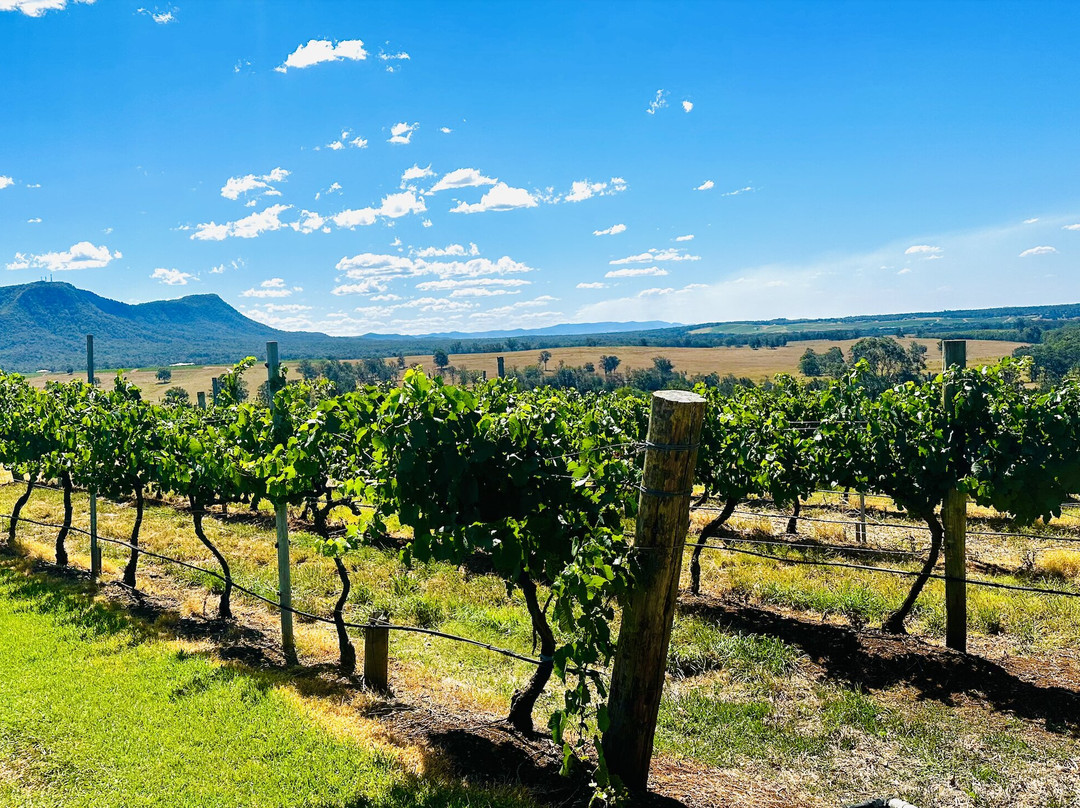 Scarborough Wine Co-波高尔宾必去景点