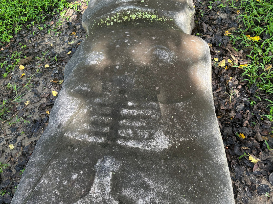 Tentena wildlife tour and Lorelindu national park-Tentena必去景点