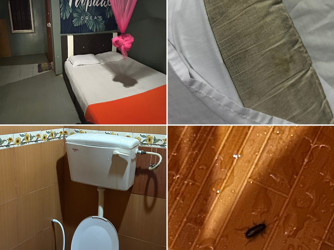 Panorama Diver-小停泊岛必去景点