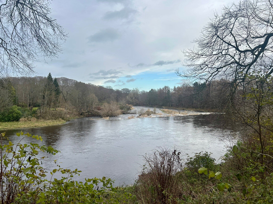 Seaton Park-阿伯丁必去景点
