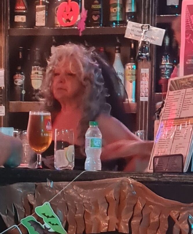 Drivers Bar-托雷维耶哈必去景点