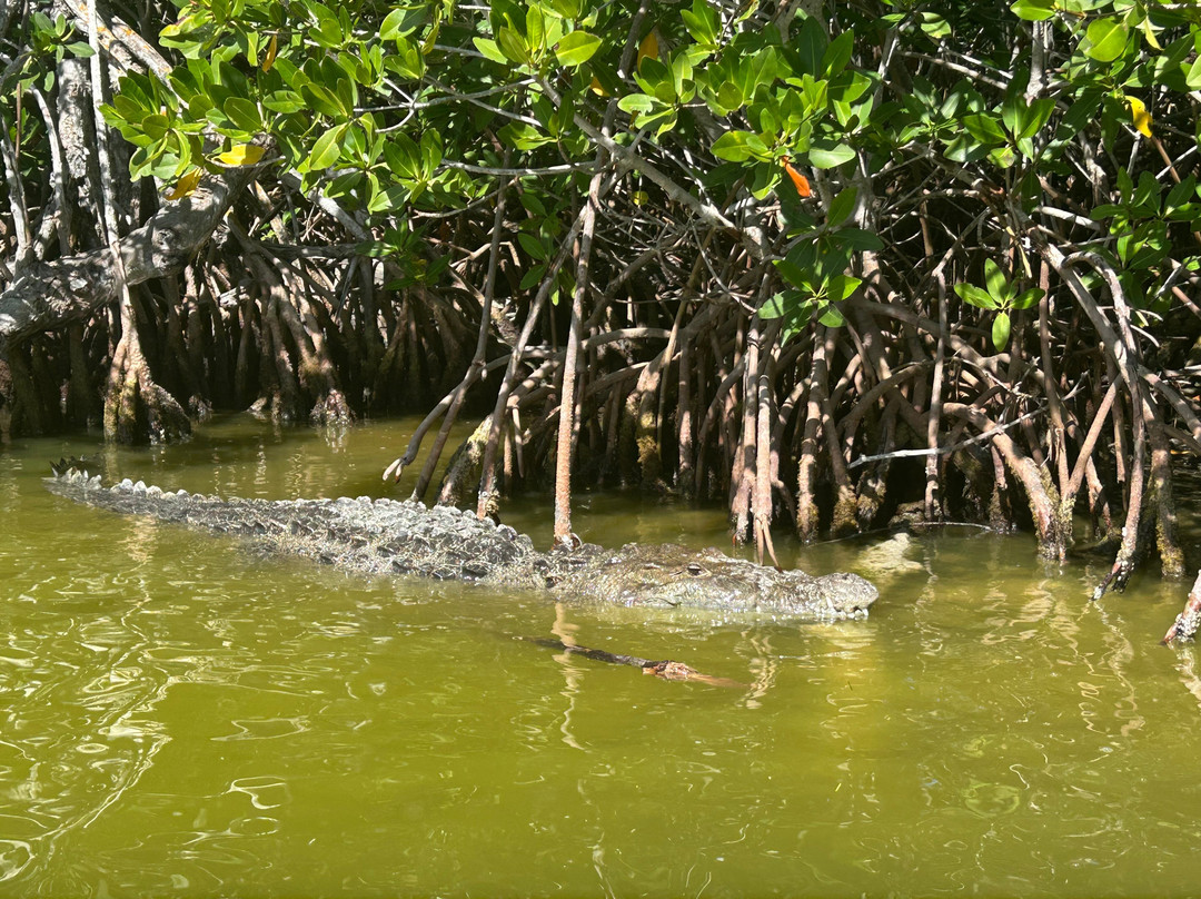 Guia Naturalista William Canto-里奥拉加托斯必去景点