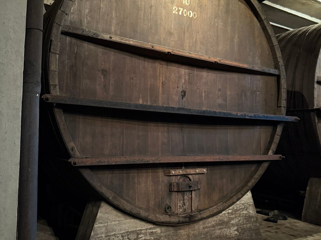 Bodega Spinoglio-蒙得维的亚必去景点