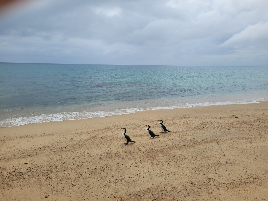 Abel Tasman Guides-玛拉豪必去景点