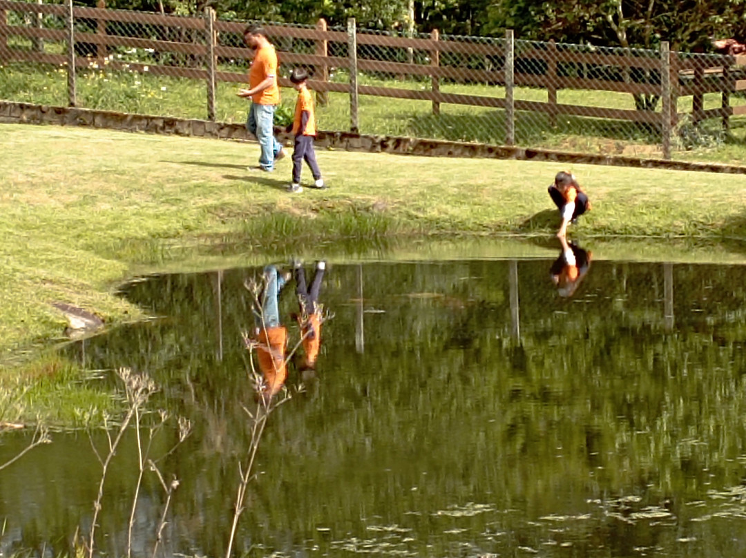 Pousada Vida Verde主图