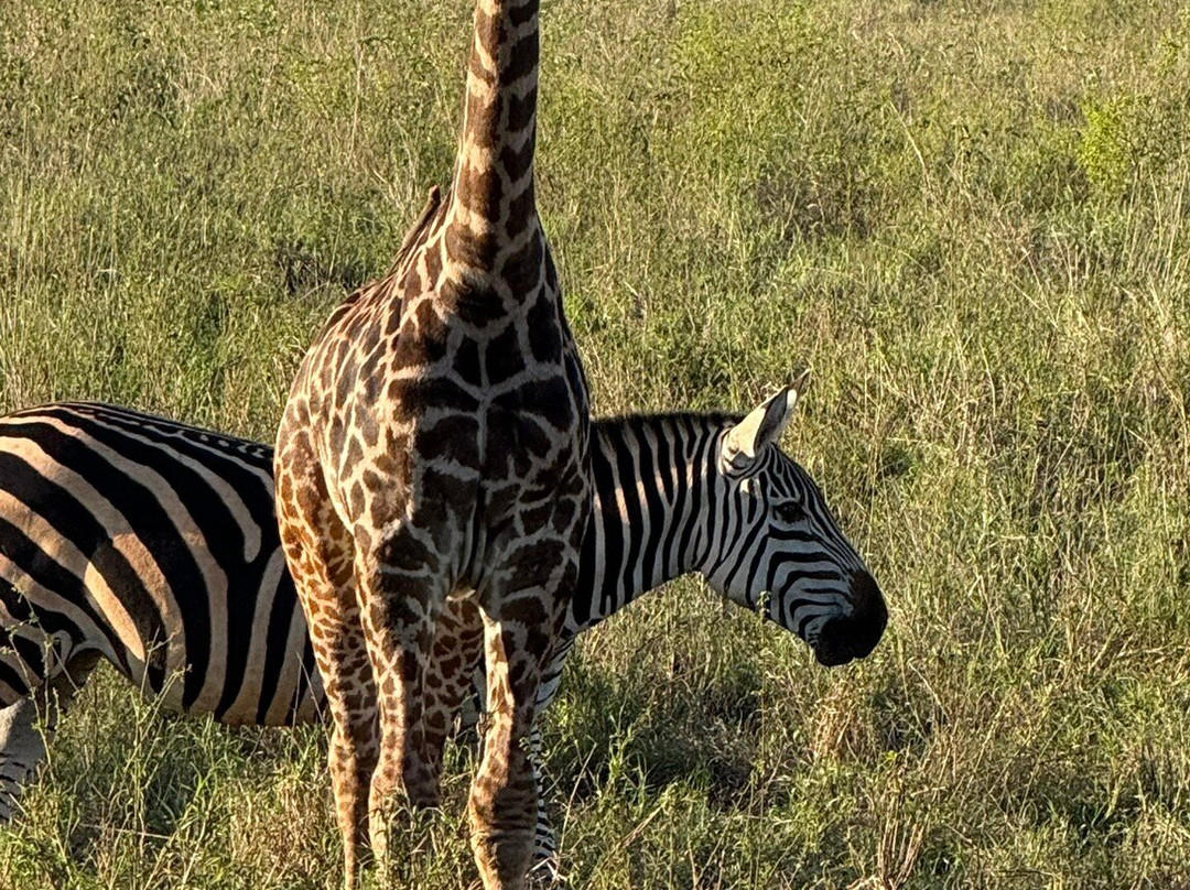 Polki W Podróży-比亚韦斯托克必去景点