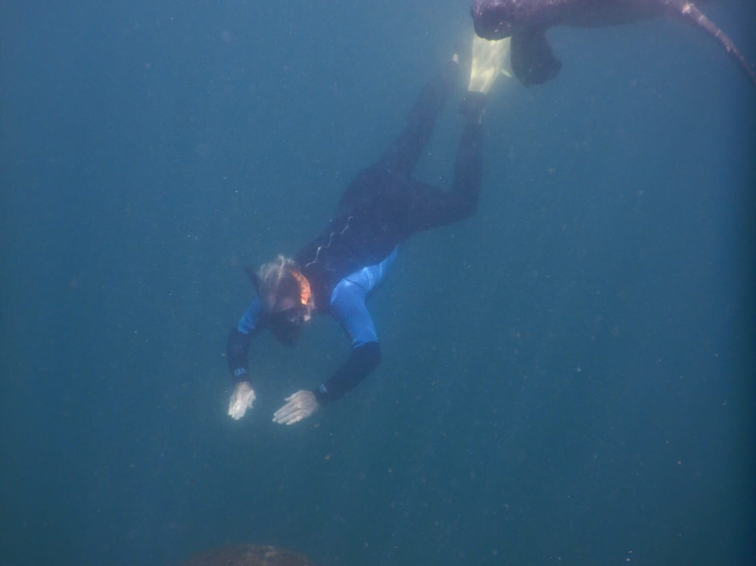 Watersports Guru-Kingscliff必去景点