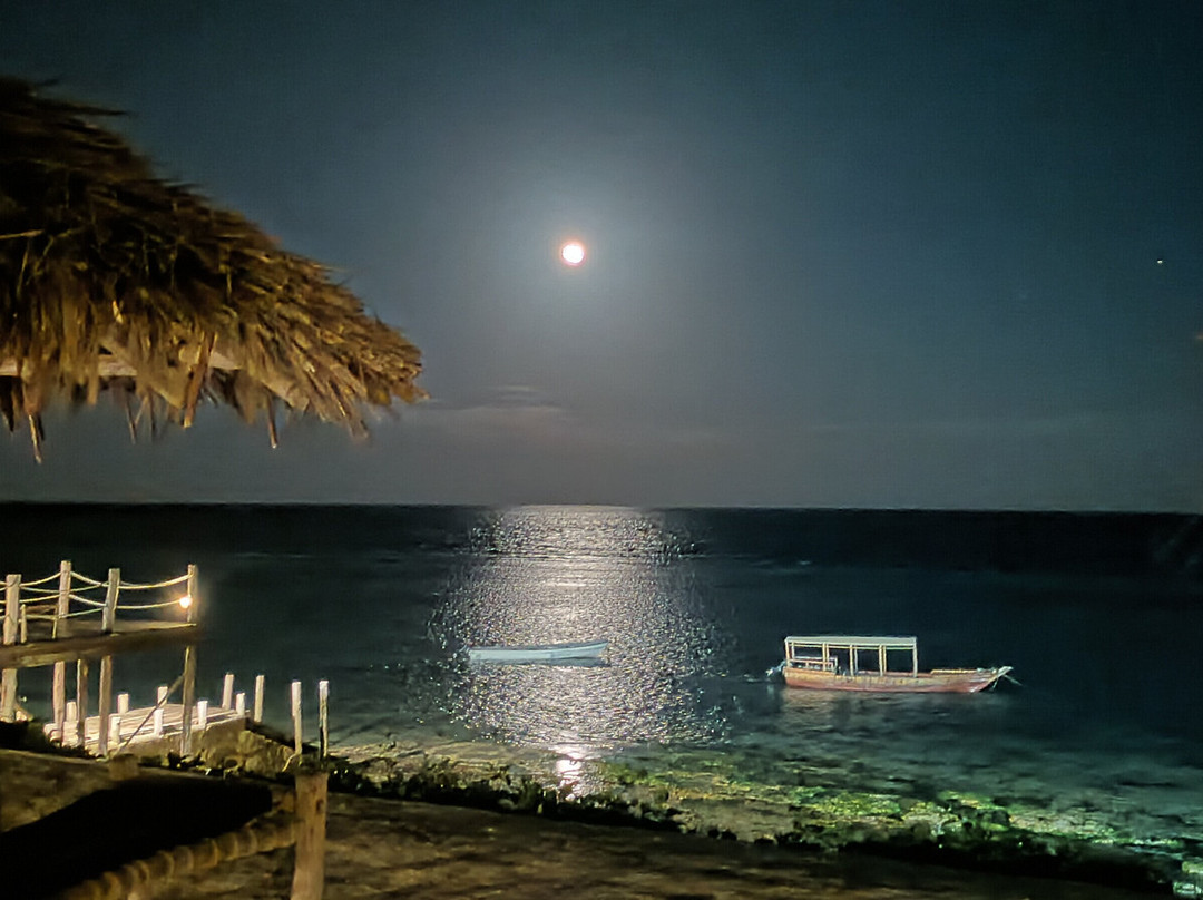 Tanzania Specialist-阿鲁沙必去景点