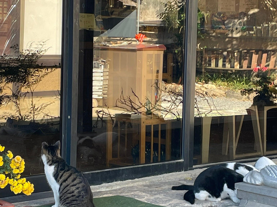 Dongguksa Temple-群山市必去景点