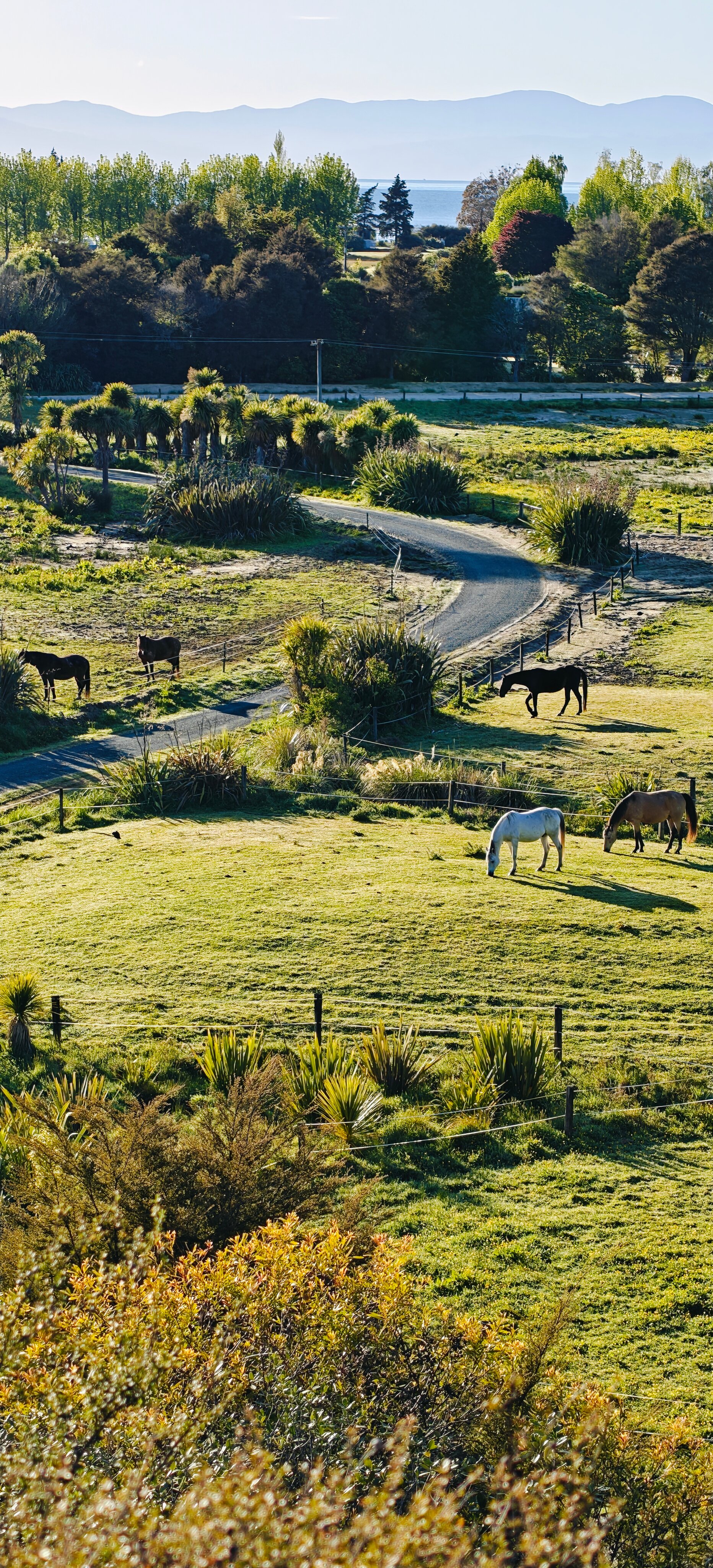 Abel Tasman Ocean View Chalets-酒店景观