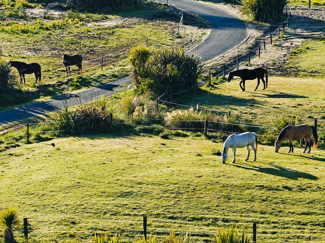Abel Tasman Ocean View Chalets主图