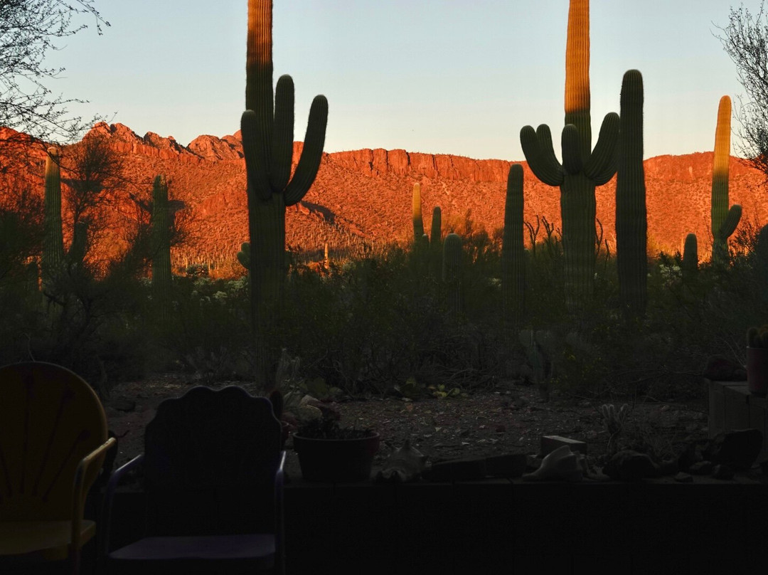 Crickethead Inn Bed and Breakfast主图