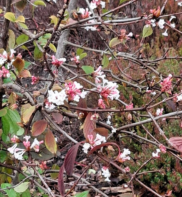 Lausitzer Findlingspark Nochten-Boxberg必去景点