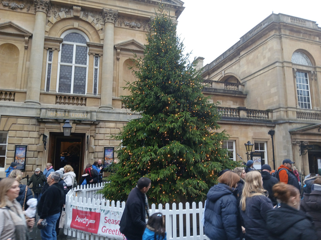 Crosskeys Coaches & Travel-福克斯通必去景点