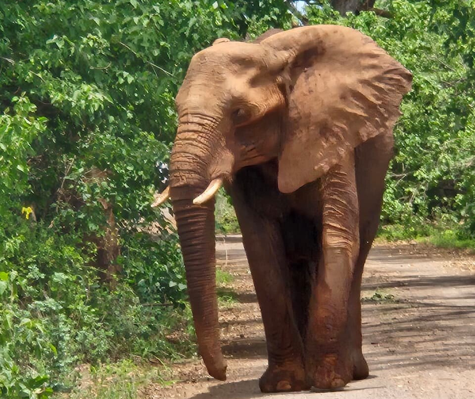 Lourie Trips & Tours-路易特里哈特必去景点
