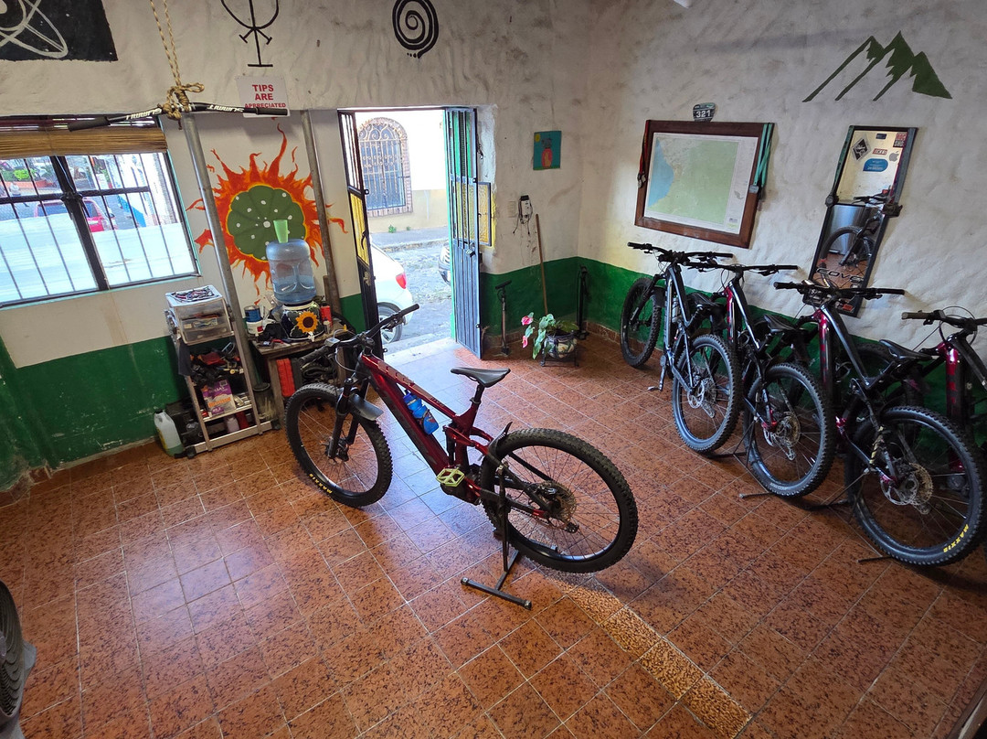 Eco Ride Mountain Bike & Hiking Tours-瓦拉塔港必去景点