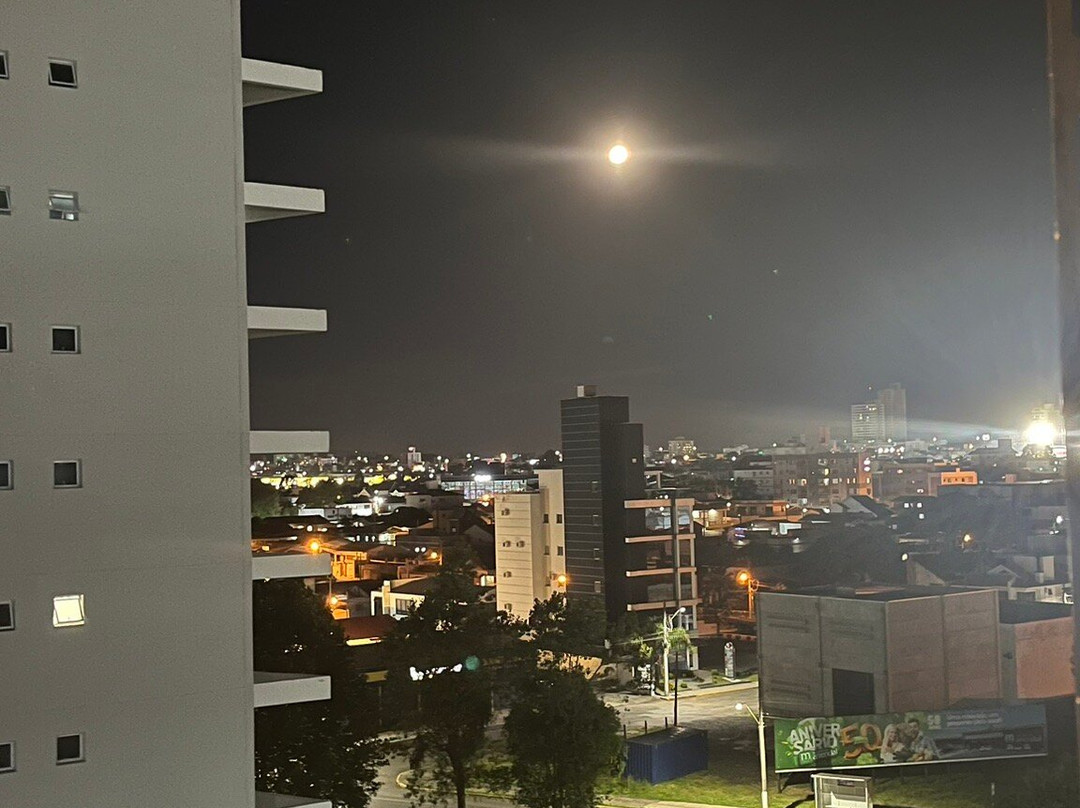 Le Canard Lages主图