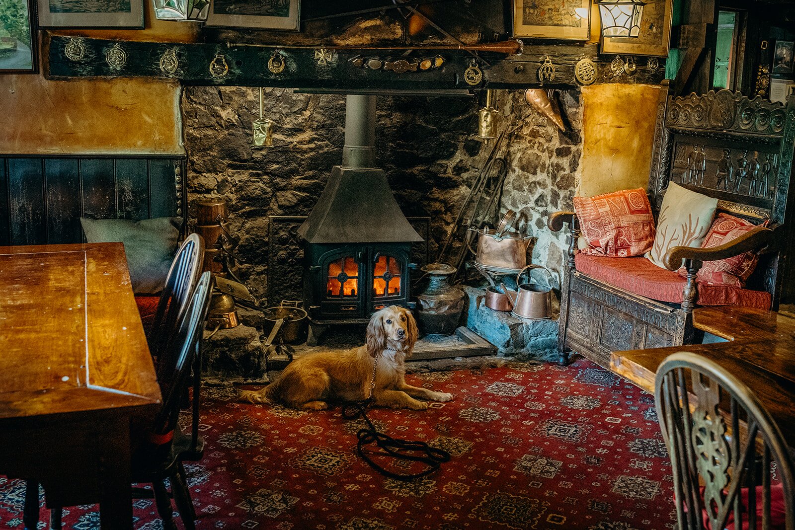 The Nobody Inn-浴室