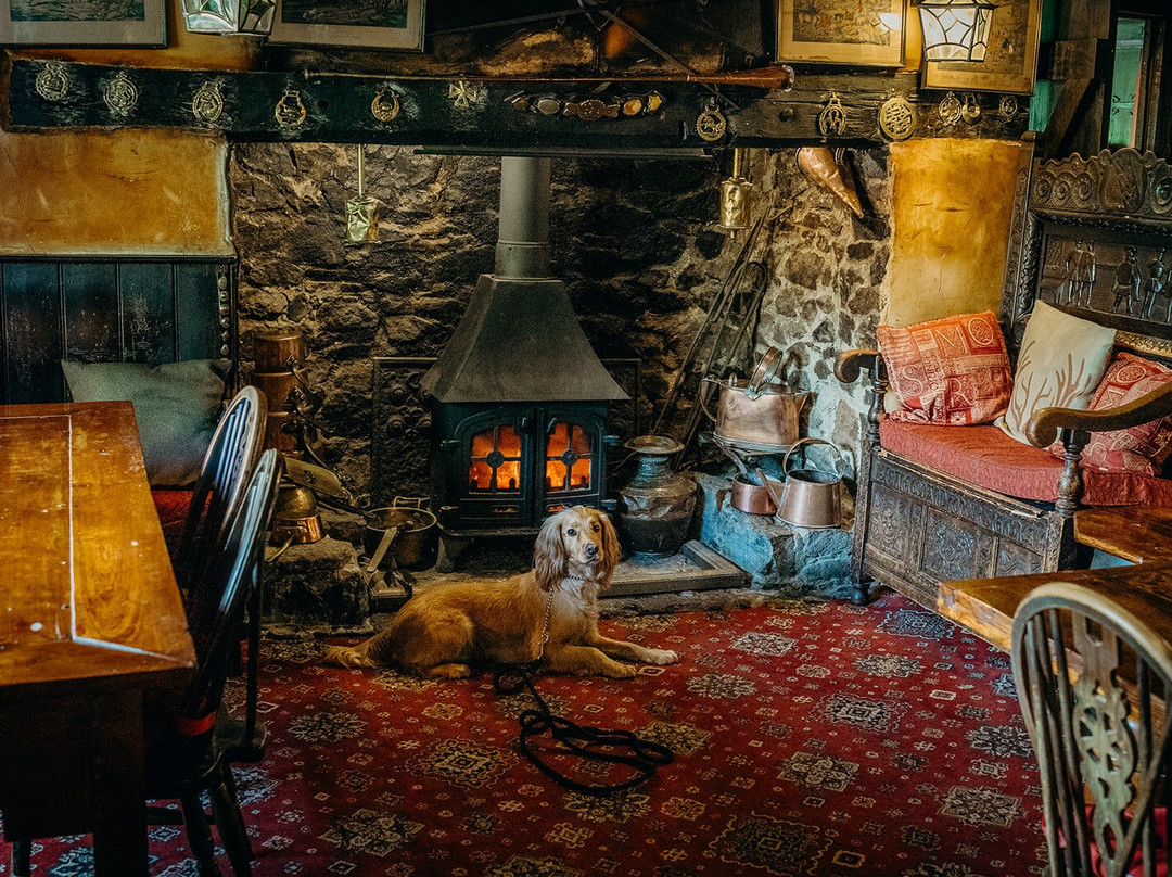 The Nobody Inn主图