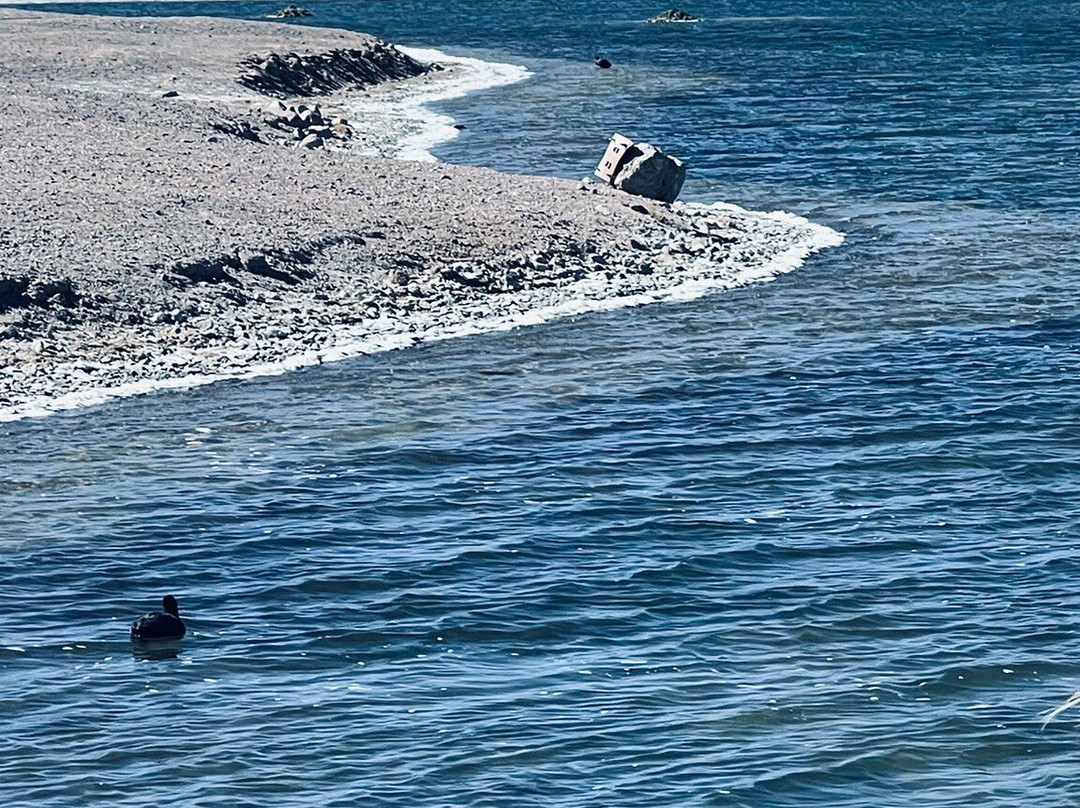 Lagunas Altiplanicas-圣佩德罗-德阿塔卡马必去景点