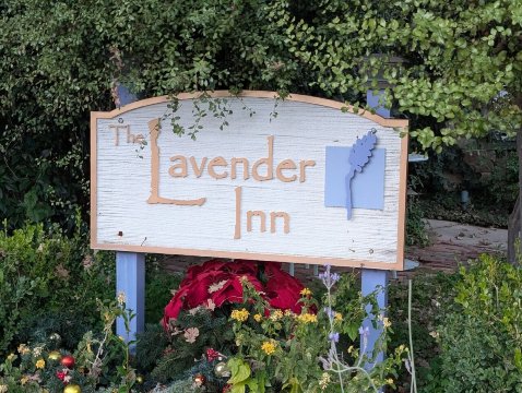 The Lavender Inn-官方