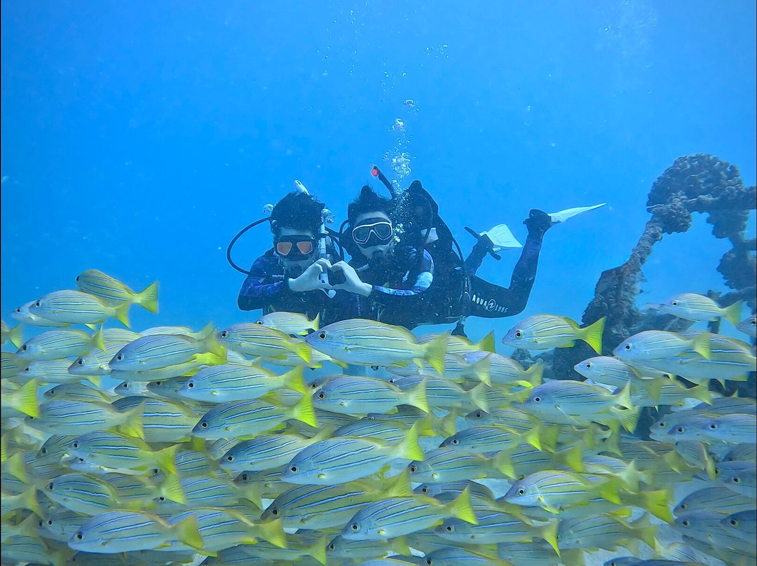 Sunshine Scuba-火奴鲁鲁必去景点