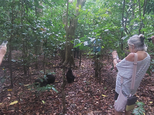 Tangkoko National Reserve-比通必去景点