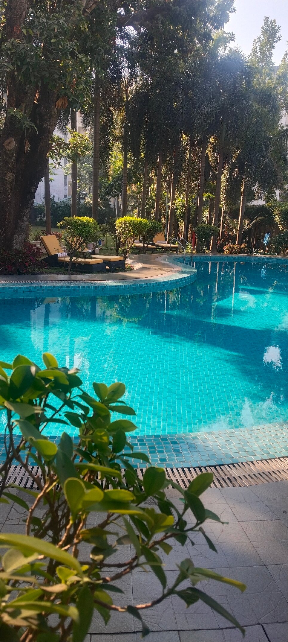 Godwin Haridwar-官方