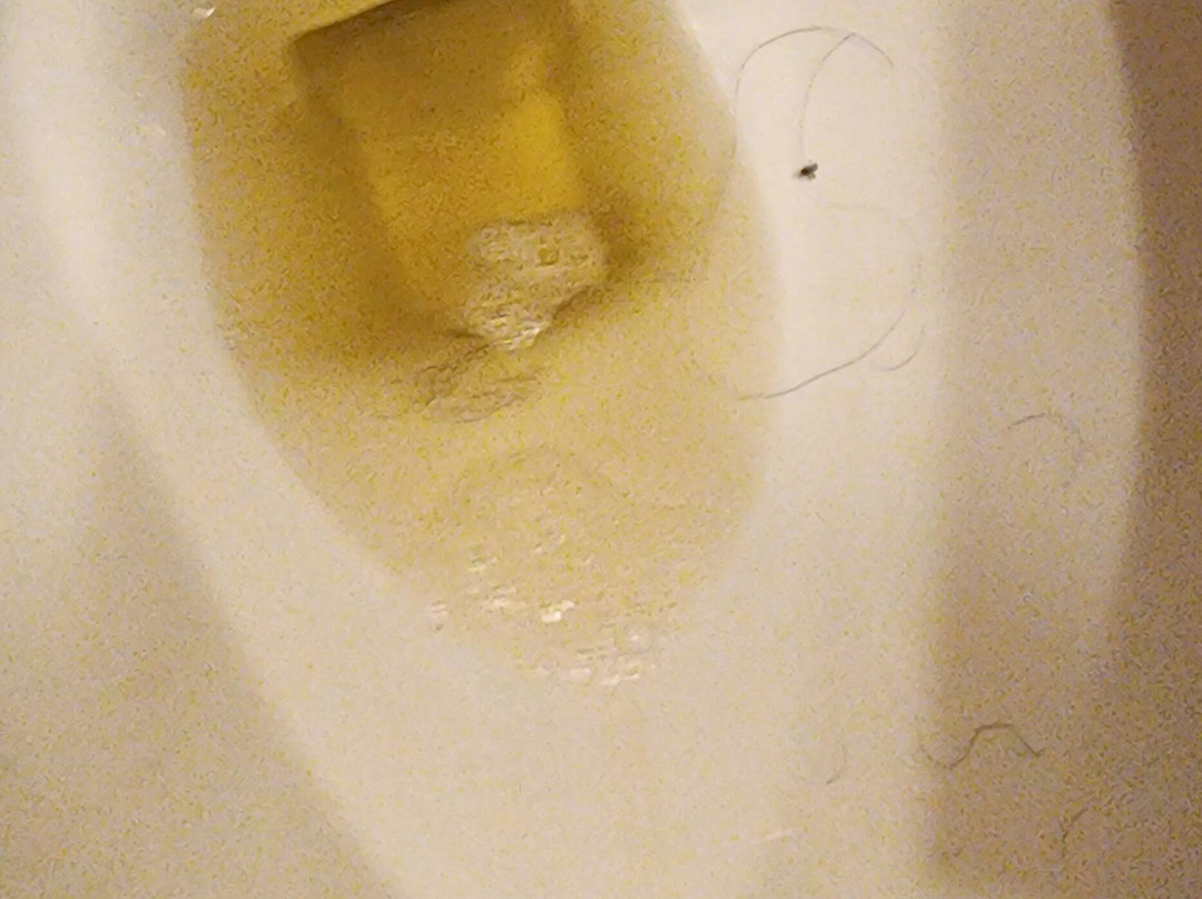 费斯塔客栈酒店主图