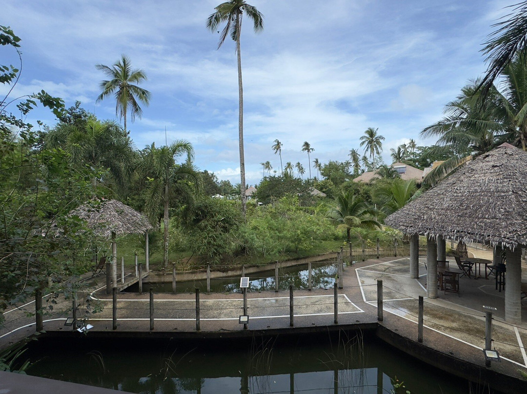 Club Agutaya Resort主图