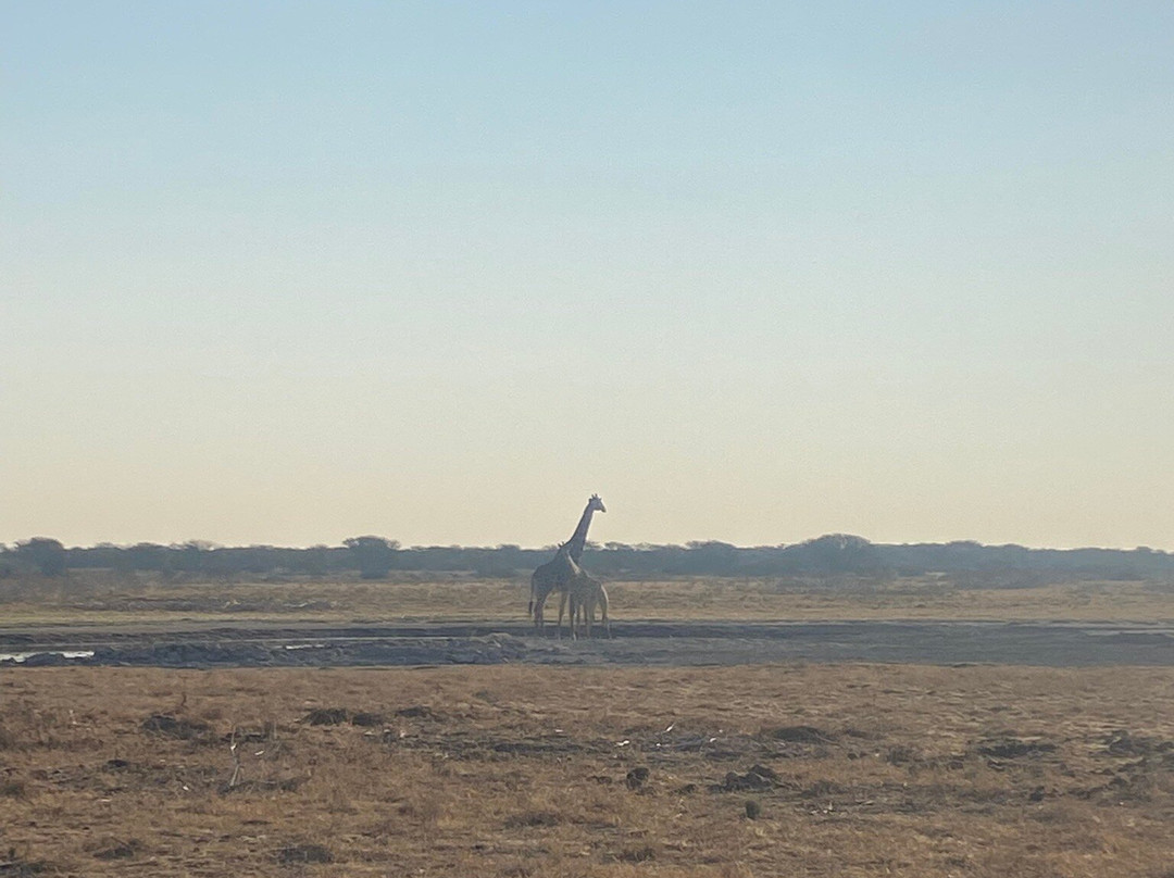 Khama Rhino Sanctuary-Serowe必去景点