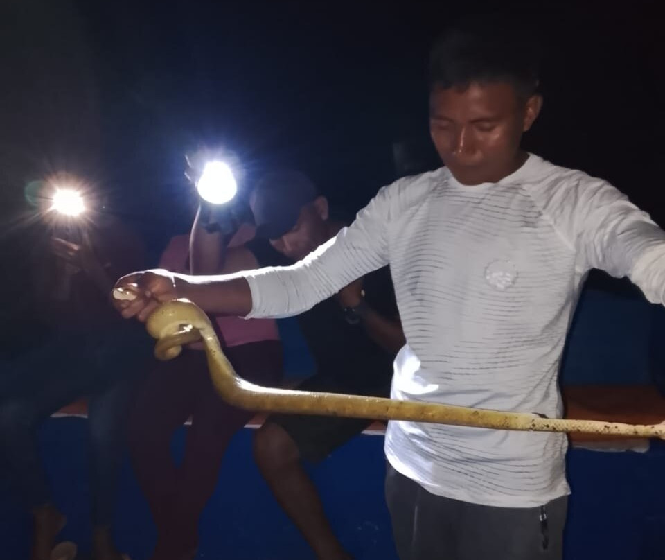 Osprey Expeditions-卡奈玛国家公园必去景点