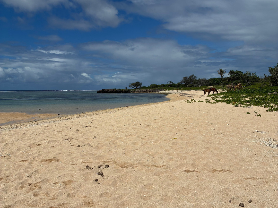 Ecotrax Fiji-辛加东卡必去景点