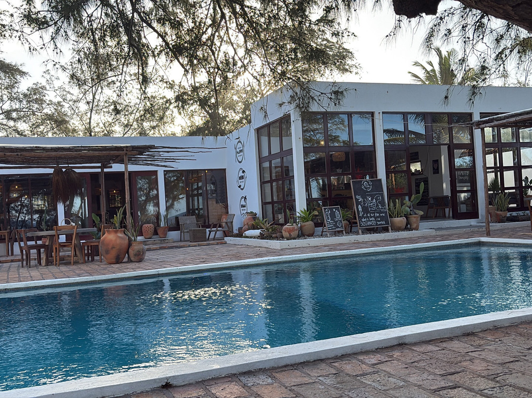 Liquid Dive Adventures-托佛必去景点