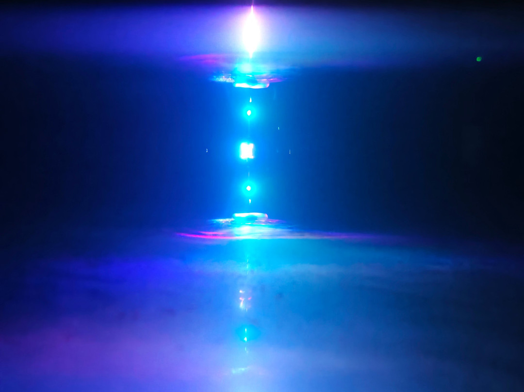 New Art Foundation-雷乌斯必去景点