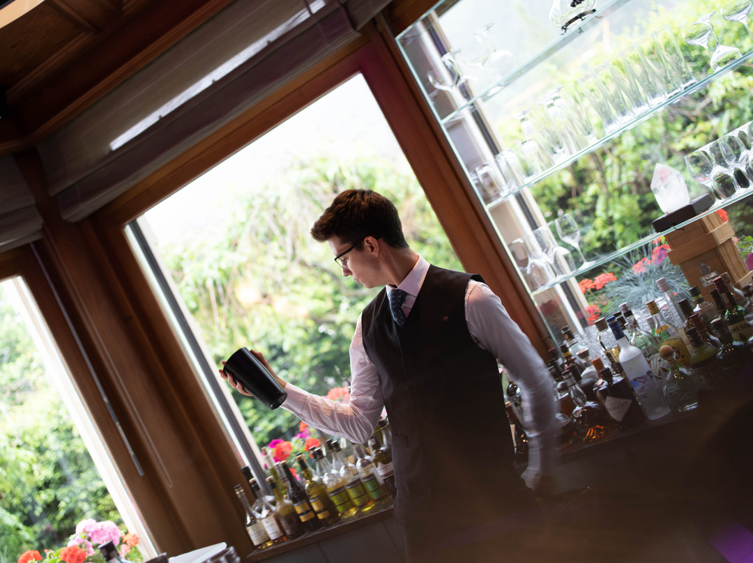 哈默阿尔伯特一世酒店