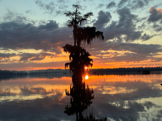 Louisiana Swamp Tours-布里奥克斯桥必去景点