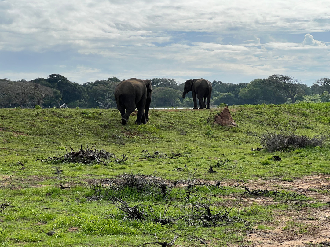 My Vacation at Lanka-Ratmalana必去景点