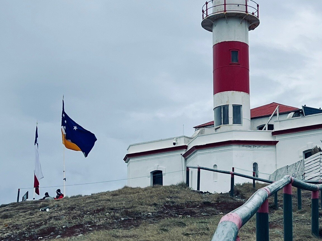 Isla Magdalena-蓬塔阿雷纳斯必去景点