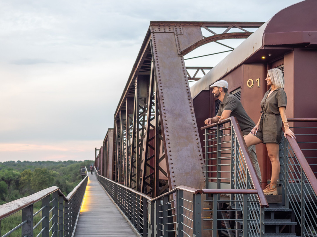 Kruger Shalati - The Train on the Bridge主图